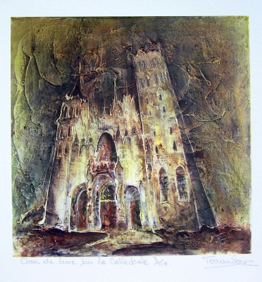 CLAIR DE LUNE SUR LA CATHEDRALE