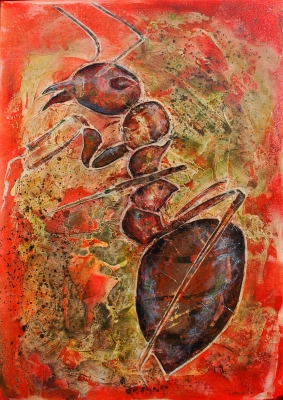 La fourmi rouge