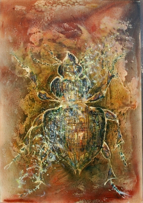 Reflets de la lumire sur la carapace du scarabe VII