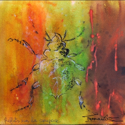 Reflets sur la carapace