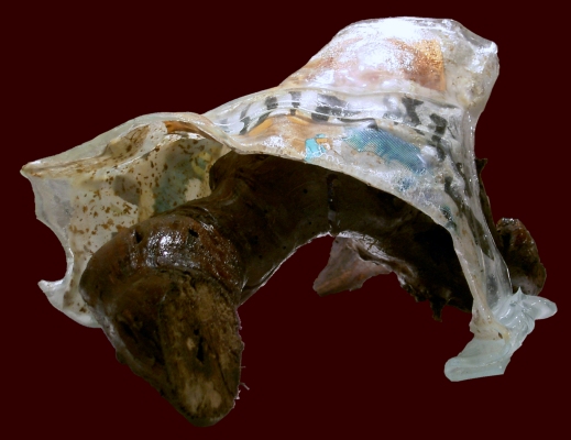 COMME UN PONT DE BOIS ET DE VERRE