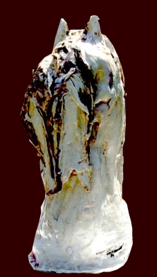 TETE DE CHEVAL  Vue de c�t�